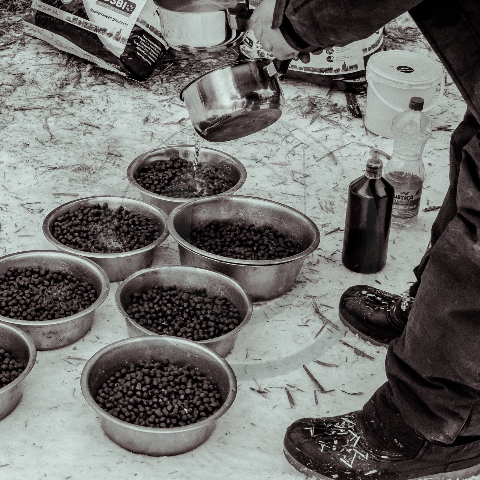 La Valgaude Traineau 2015