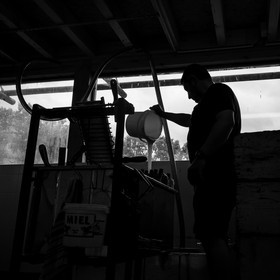 L'extraction du miel