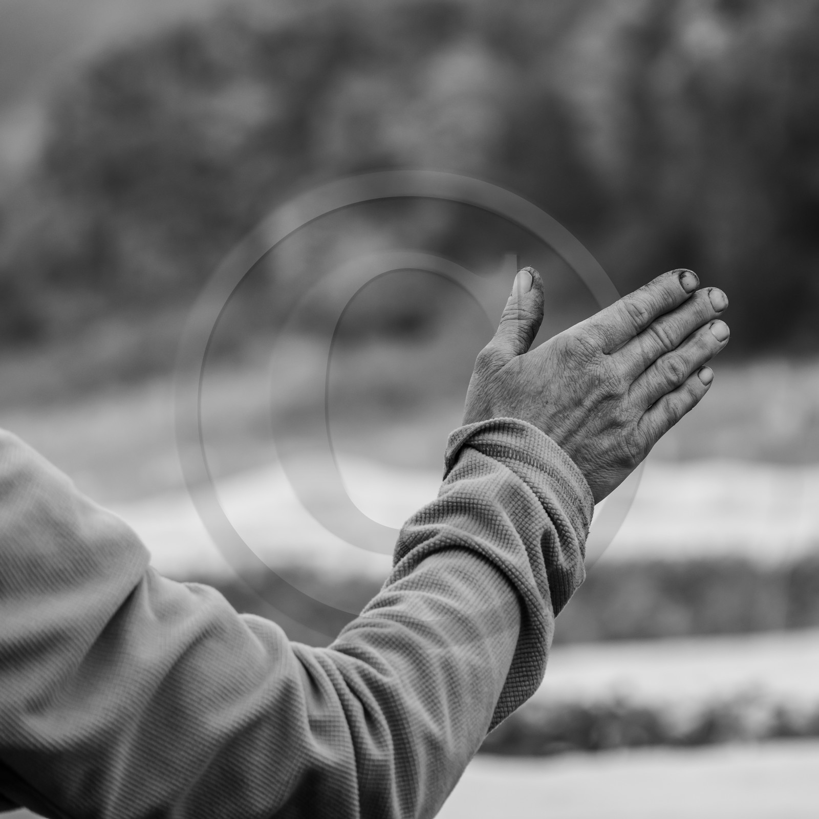 Maraichage biologique dans le Champsaur