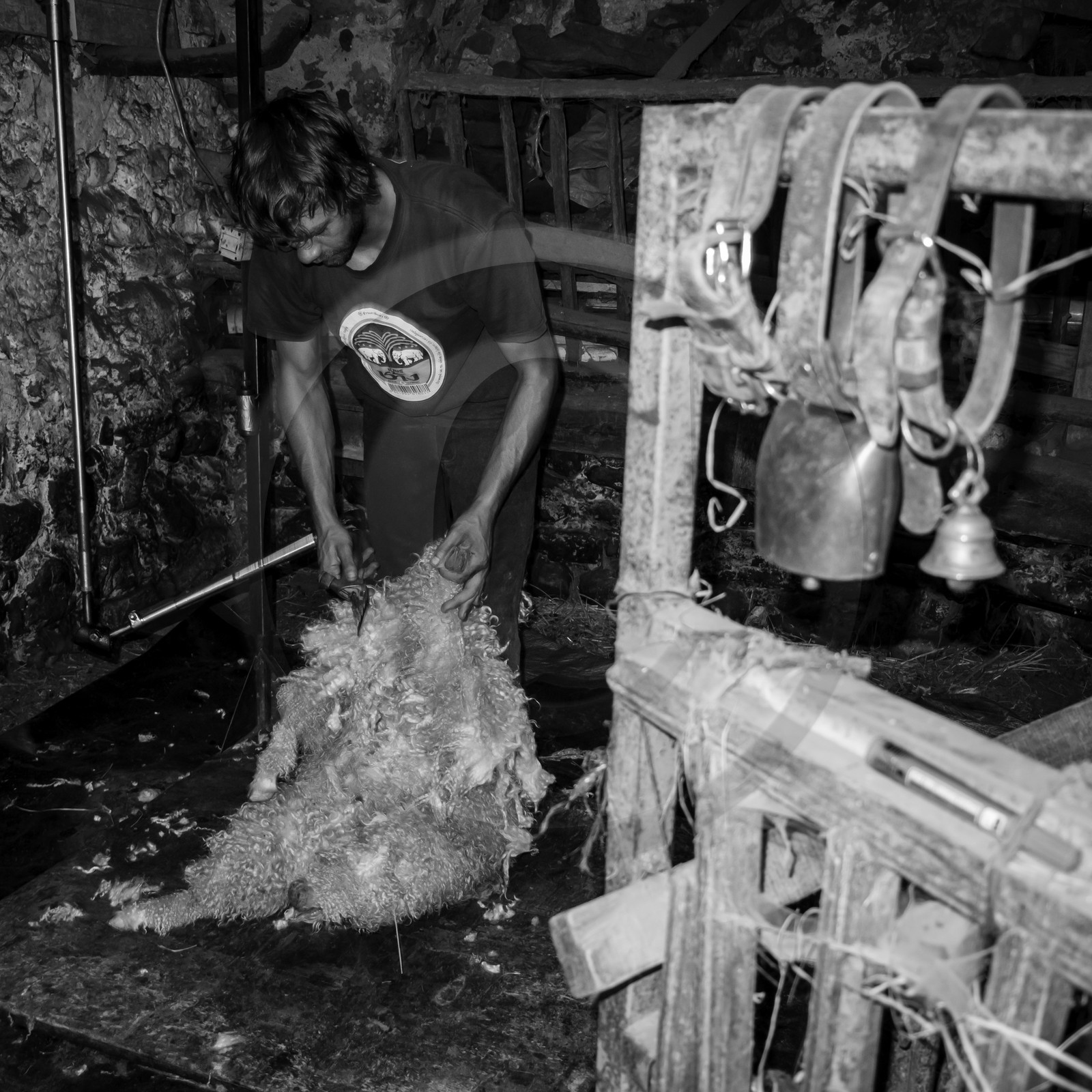 Le mohair arc en ciel Le mohair arc en ciel