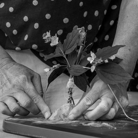 26 juin 2023 : journée des aidants et des aidés