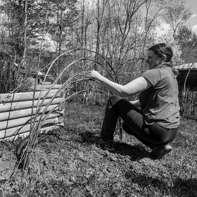 30 avril 2025 : Un oiseau en osier