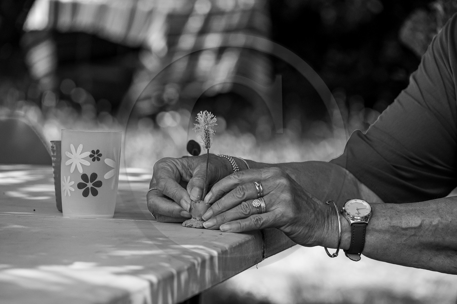 26 juin 2023 : journée des aidants et des aidés