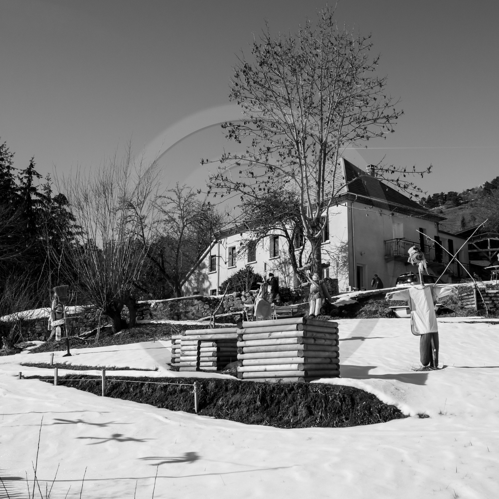 06 février 2019 : la pose des nichoirs