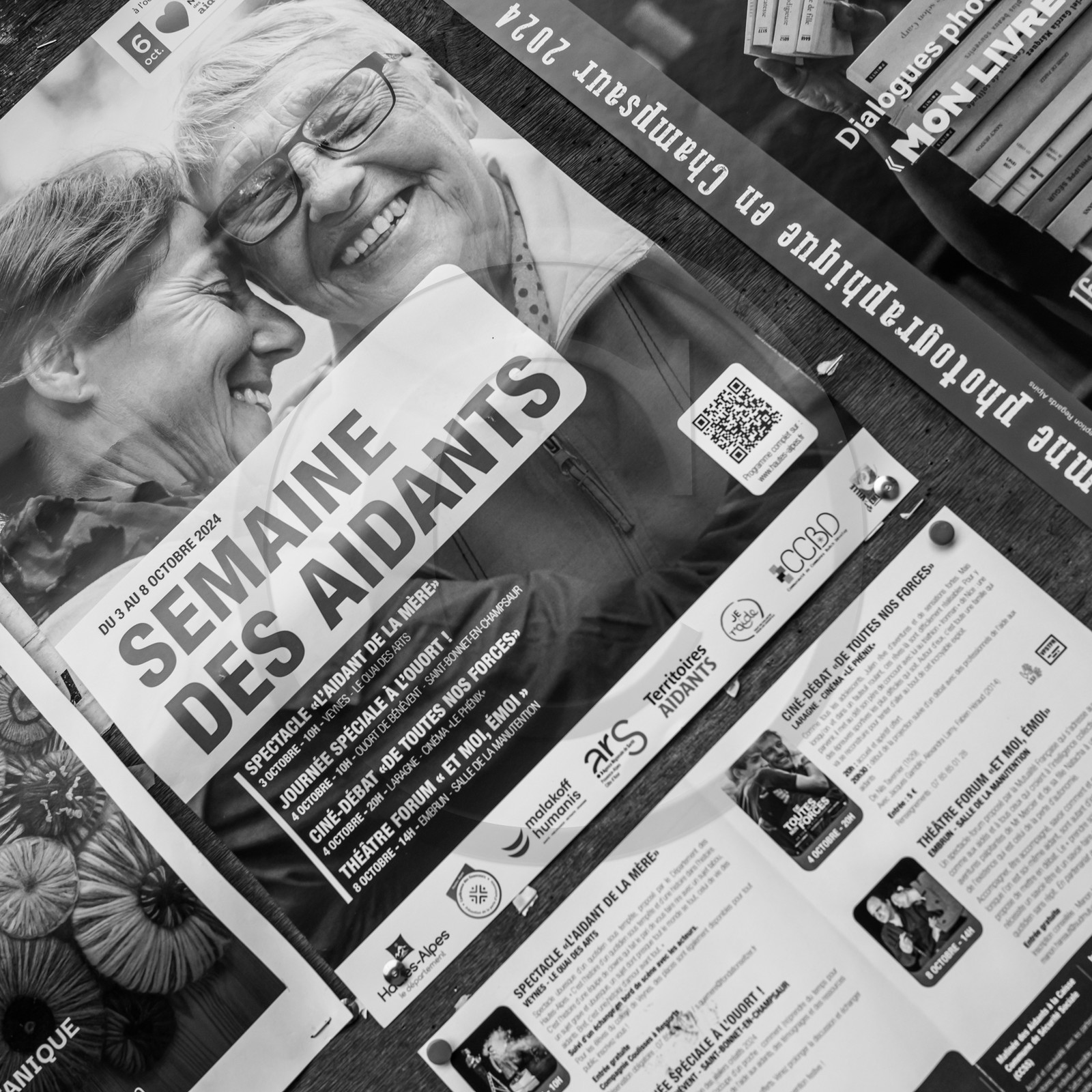 Présentation des réalisation de la saison à l'occasion de la semaine nationale des aidants - Avec la participation de Territoires Aidants