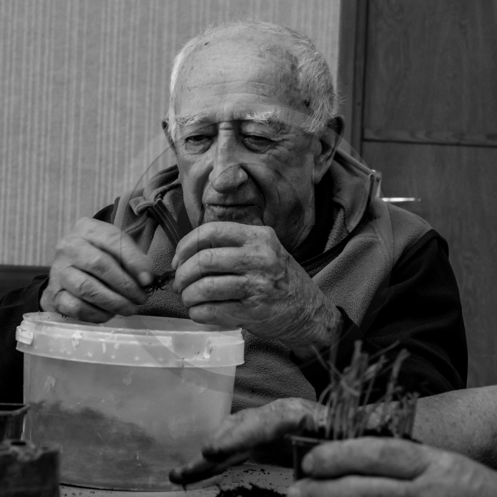 Atelier repiquage de plants de ciboulettes - 05 04 2017