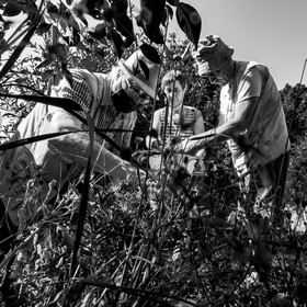 16 août 2021 : Journée des aidants