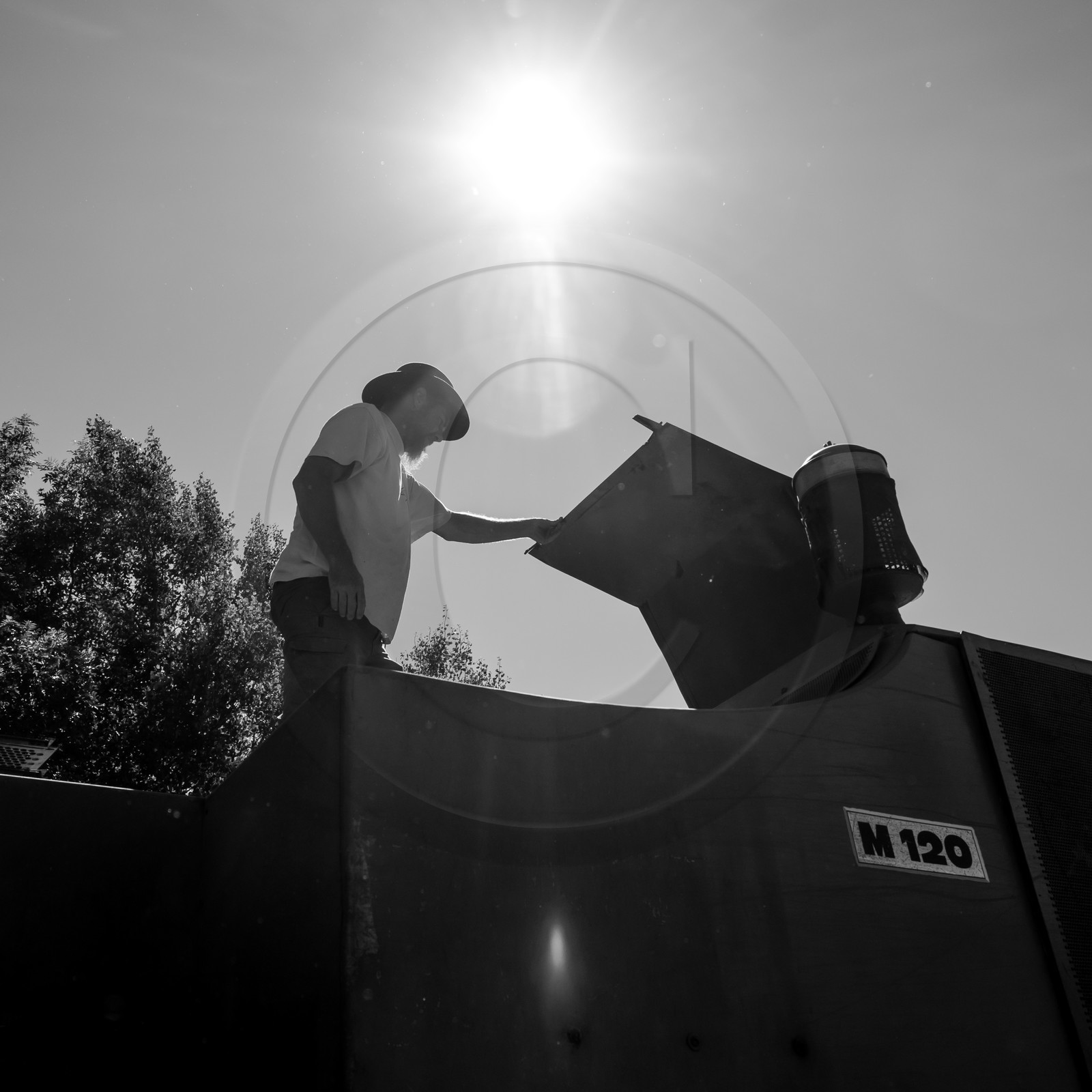 Les moissons dans le Champsaur