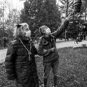 Fabrication de tournesols