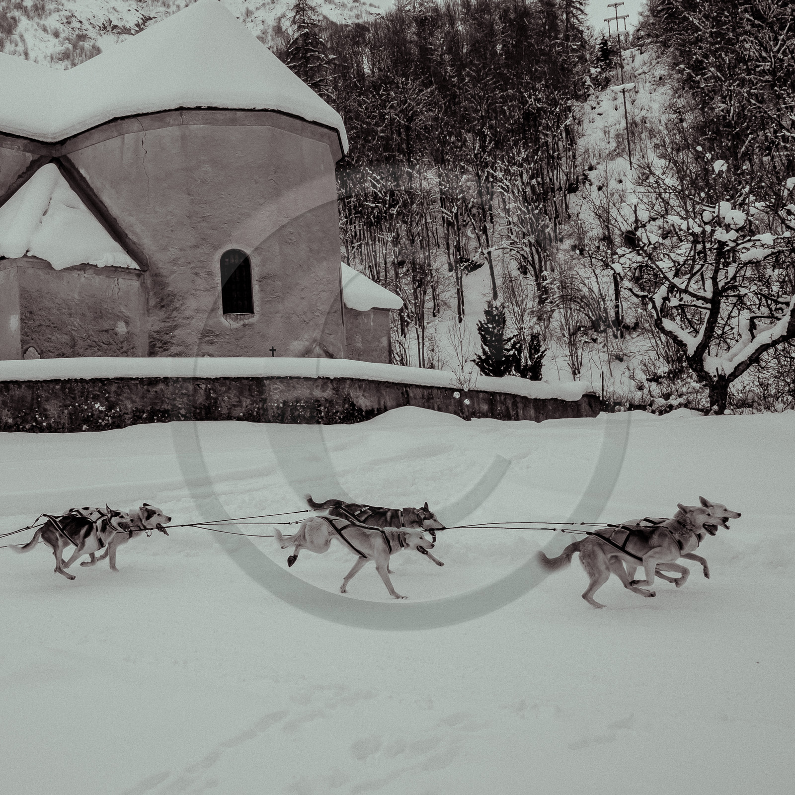 La Valgaude Traineau 2015