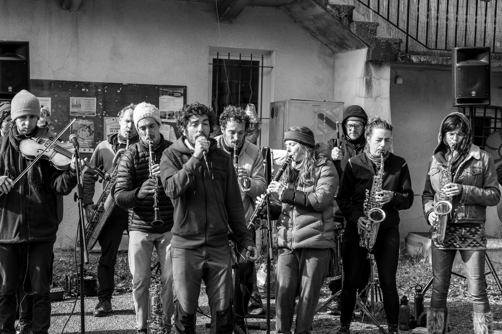 26 octobre 2025 : Les oiseaux de trottoir