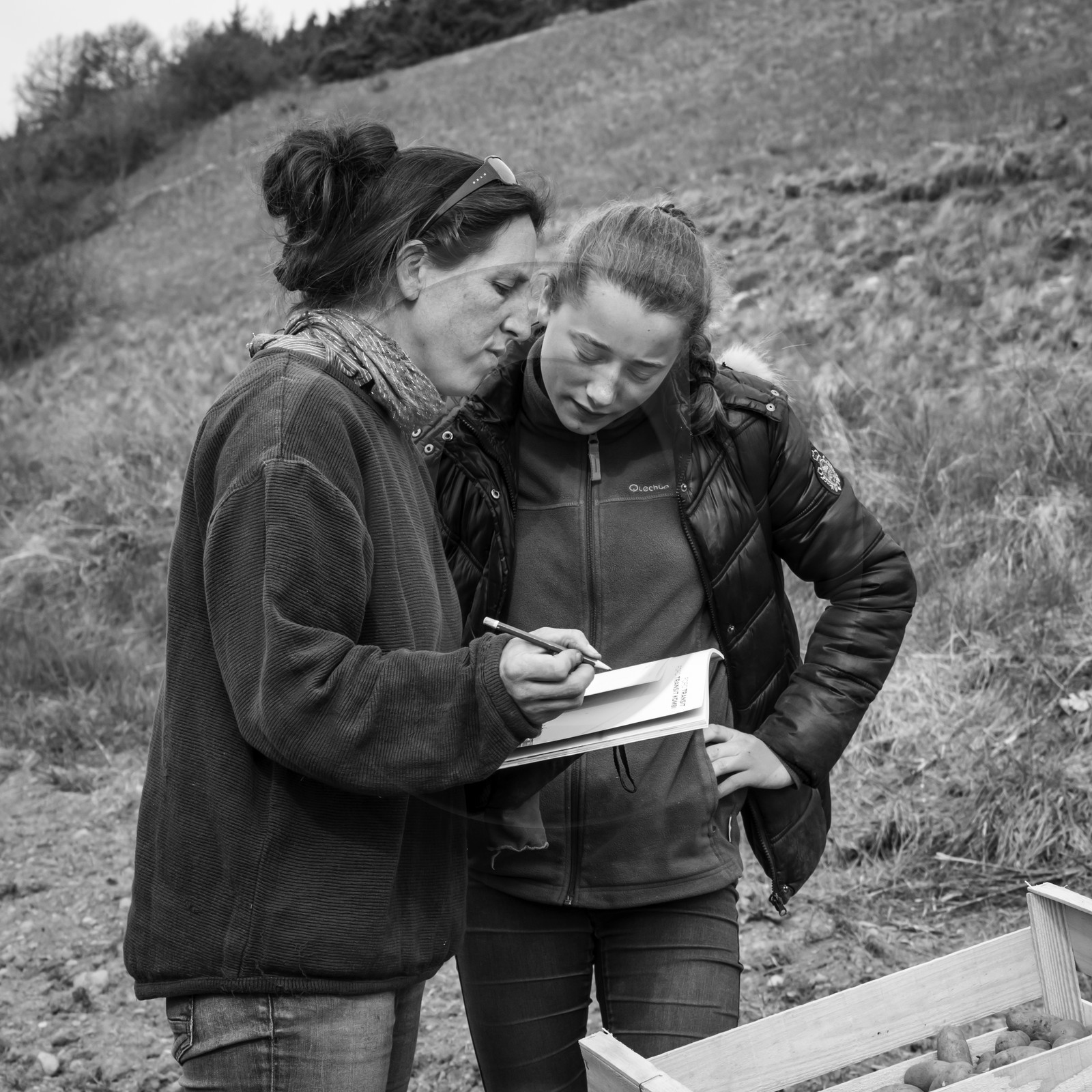 La plantation des pommes de terre