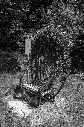 12 juin 2024 : création d'un jeu et jardinage