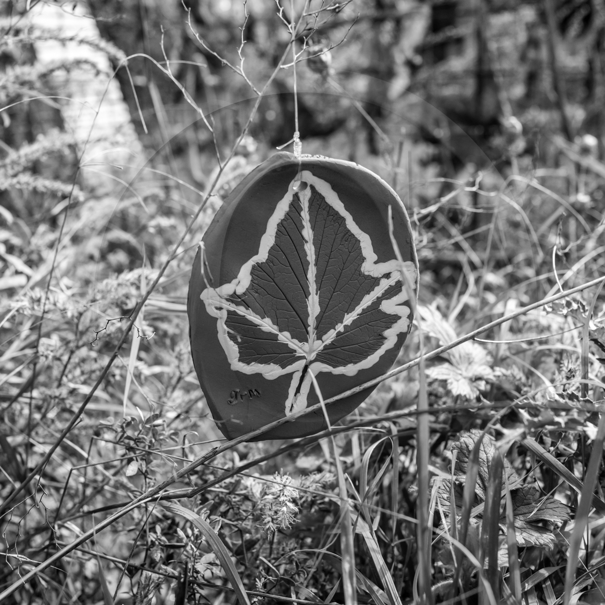 12 octobre 2022 : Land Art à l'Ouort