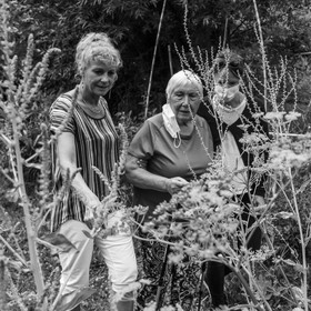 Promenades au jardin