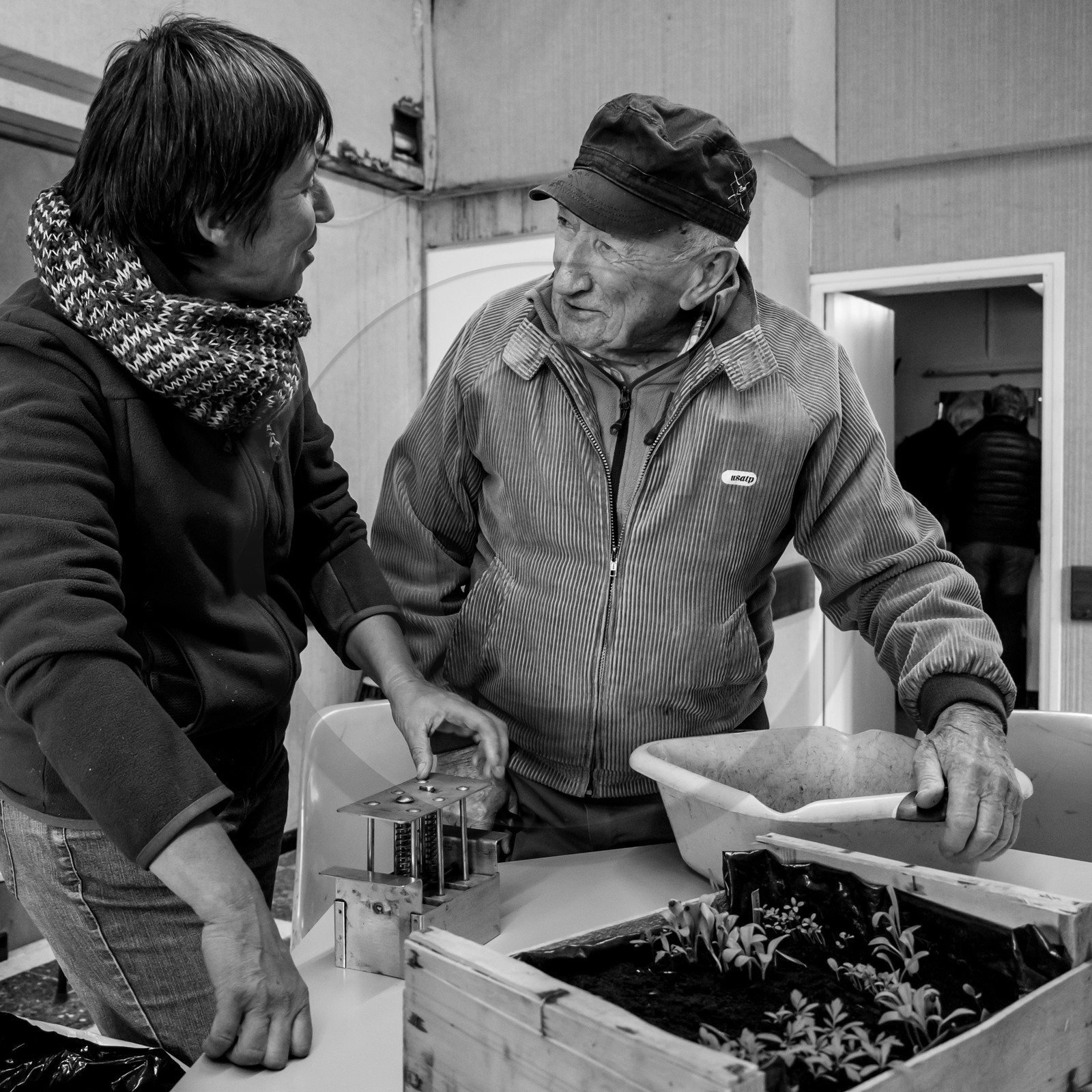 Atelier repiquage et semis - 26 04 2017