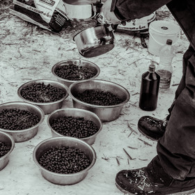 La Valgaude Traineau 2015