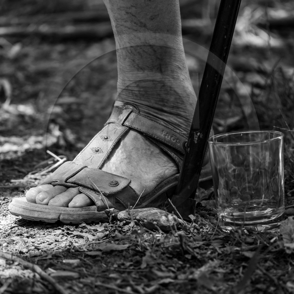 Contes avec Agnés Dumouchel