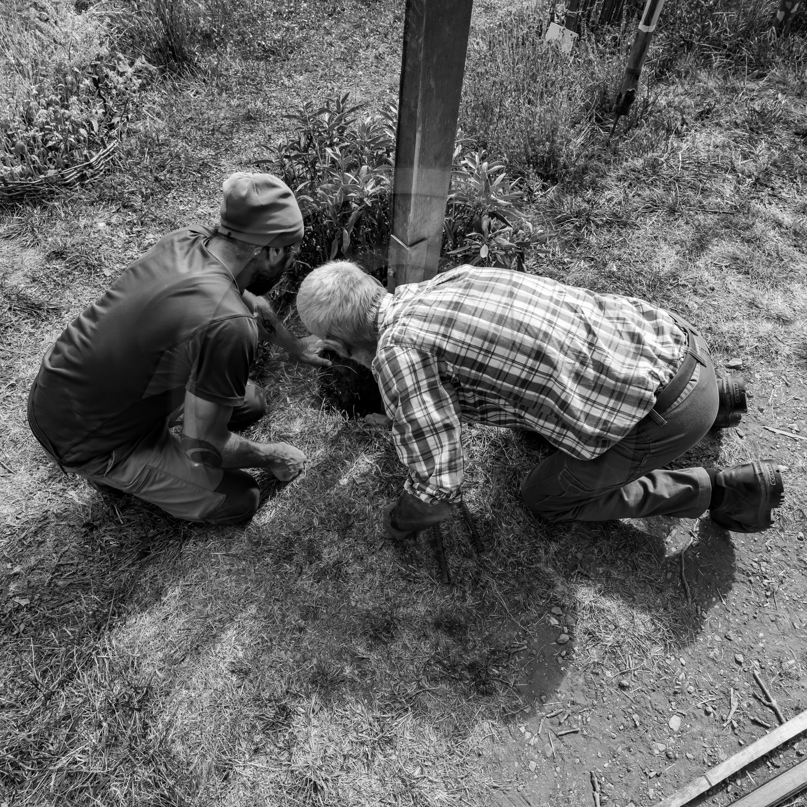 08 septembre 2021 : des jeux et des aménagements au jardin