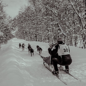 La Valgaude Traineau 2015