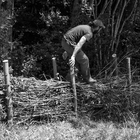 07 juin 2017 - Plantation - Haie - Réunion