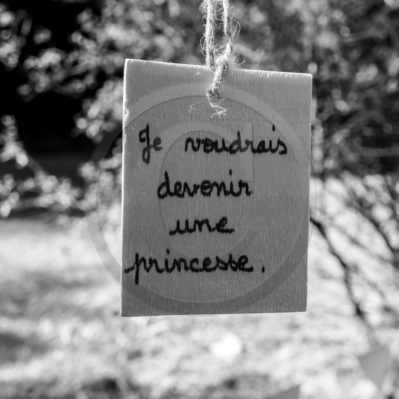 L'écho des mots