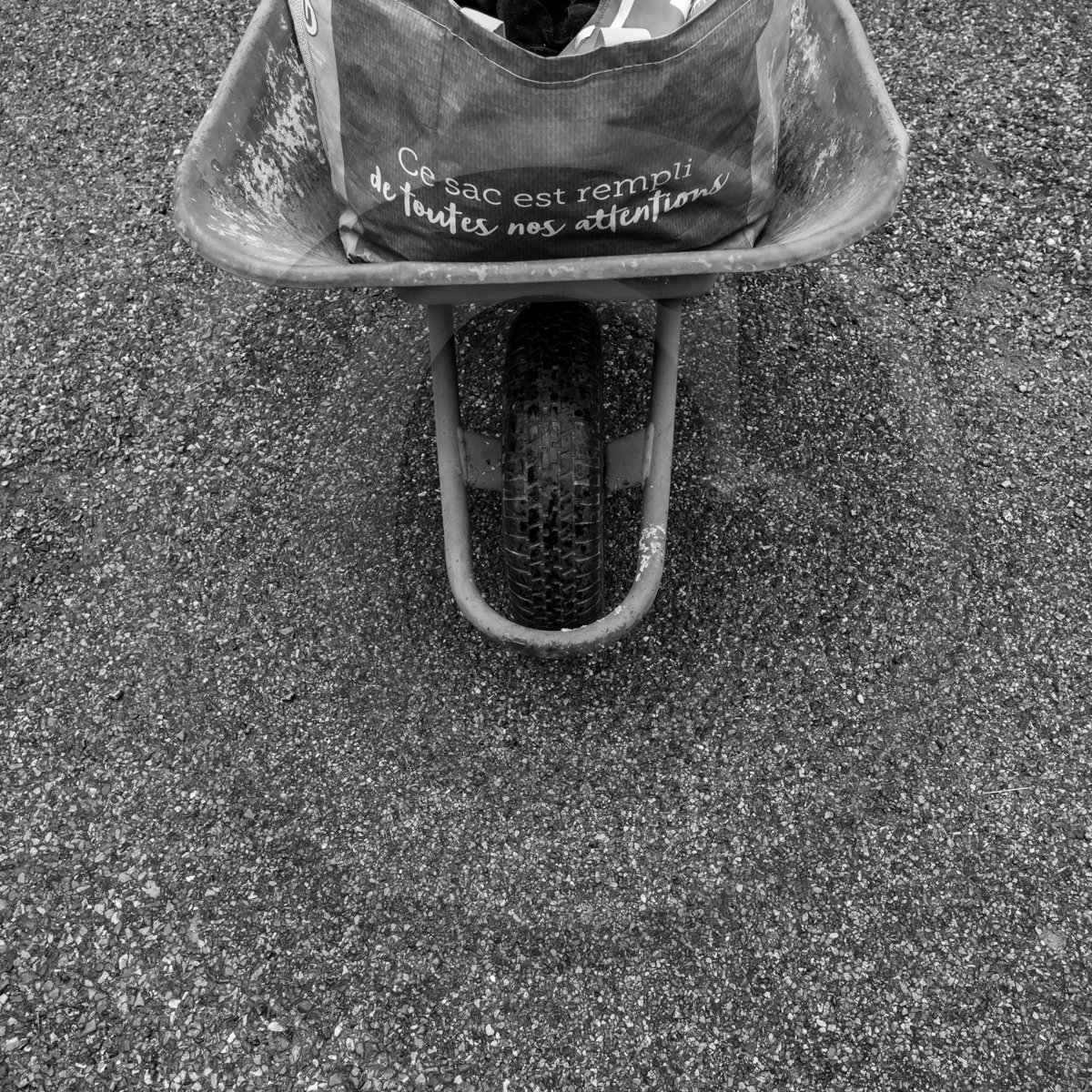 08062022-L1950116.jpg