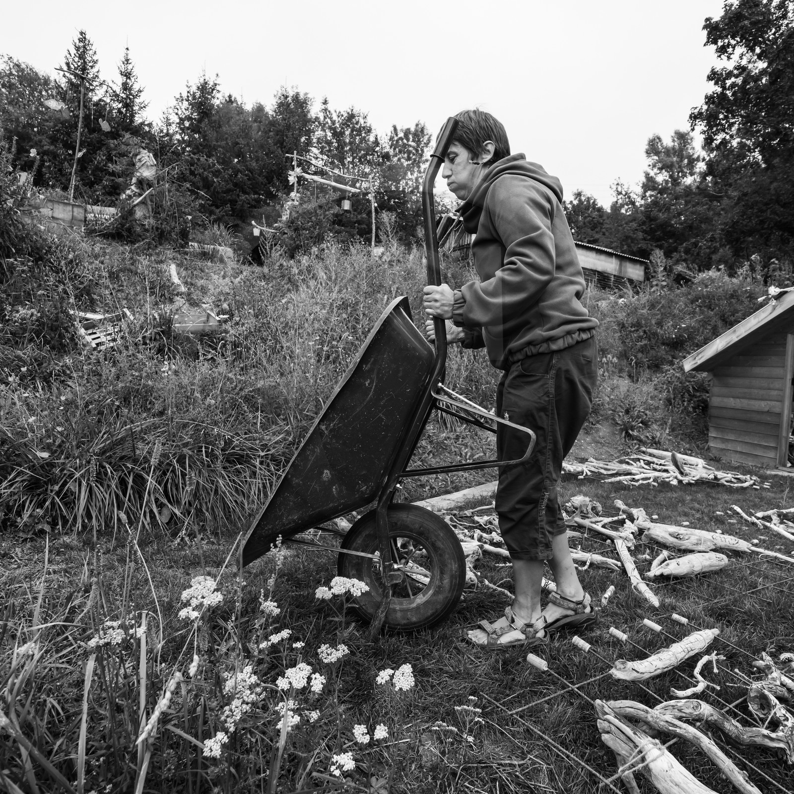 21 août 2019 : installation d'une oeuvre en bois flotté