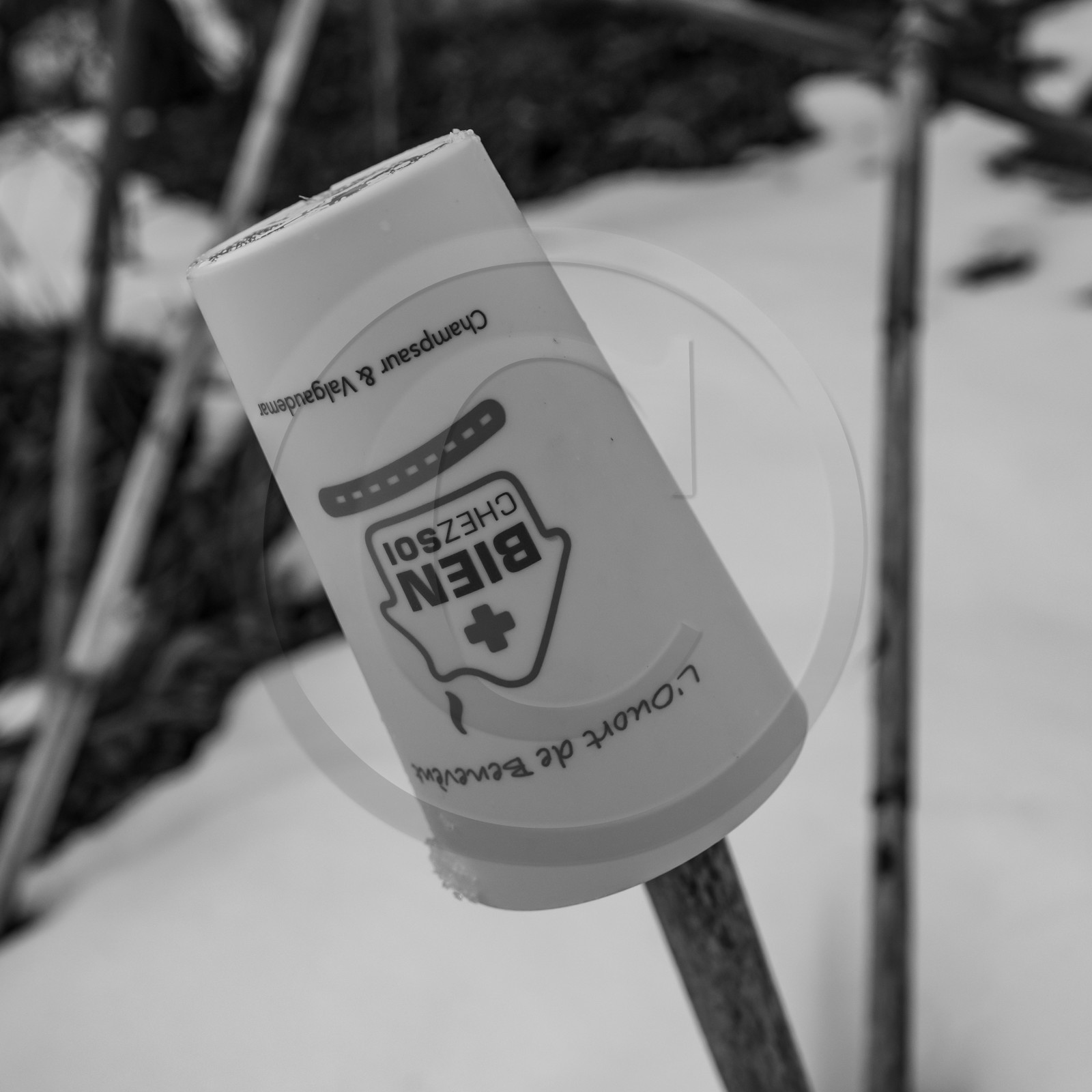 21 janvier 2021 : l'Ouort sous la neige