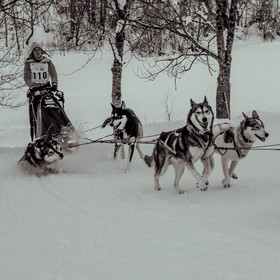 La Valgaude Traineau 2015