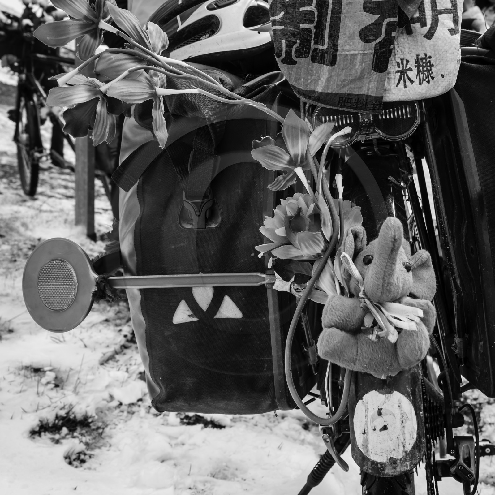 dlebioda-01052016-L1161736.jpg dlebioda-01052016-L1161736.jpg