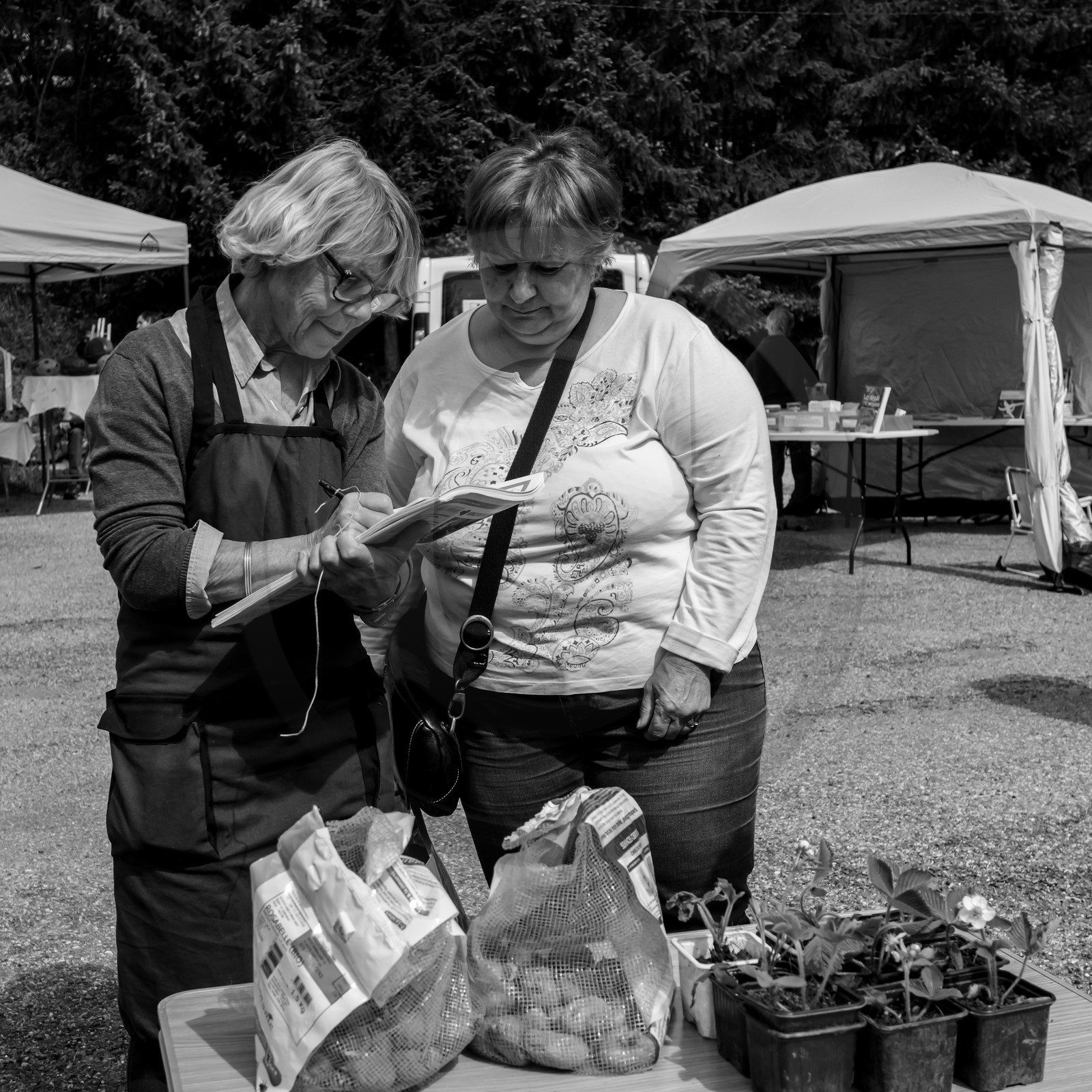 25 mai 2019 : Vide-Jardin de l'Ouort de Benevènt 25 mai 2019 : Vide-Jardin de l'Ouort de Benevènt