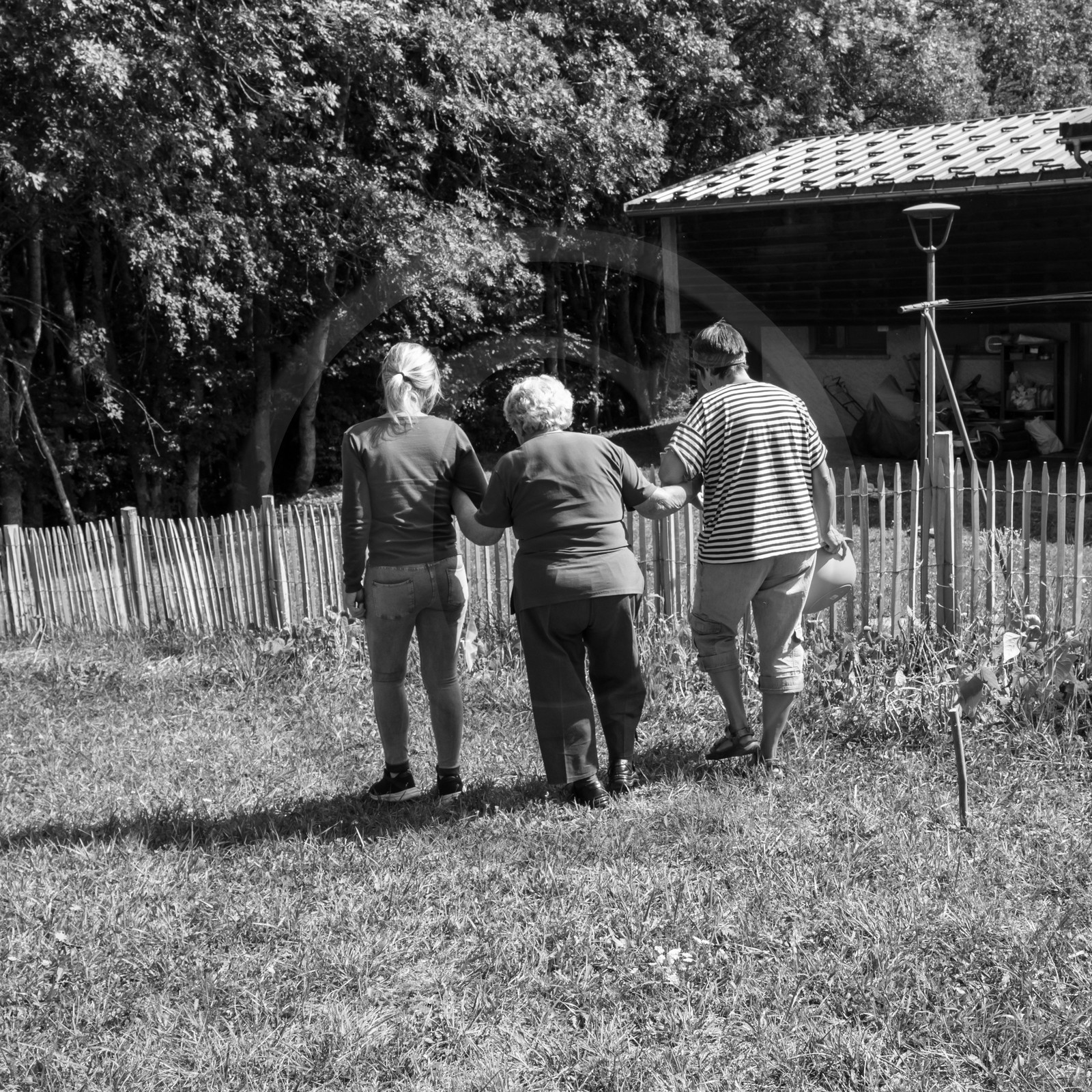 13 septembre 2017 - Chemins - Graines
