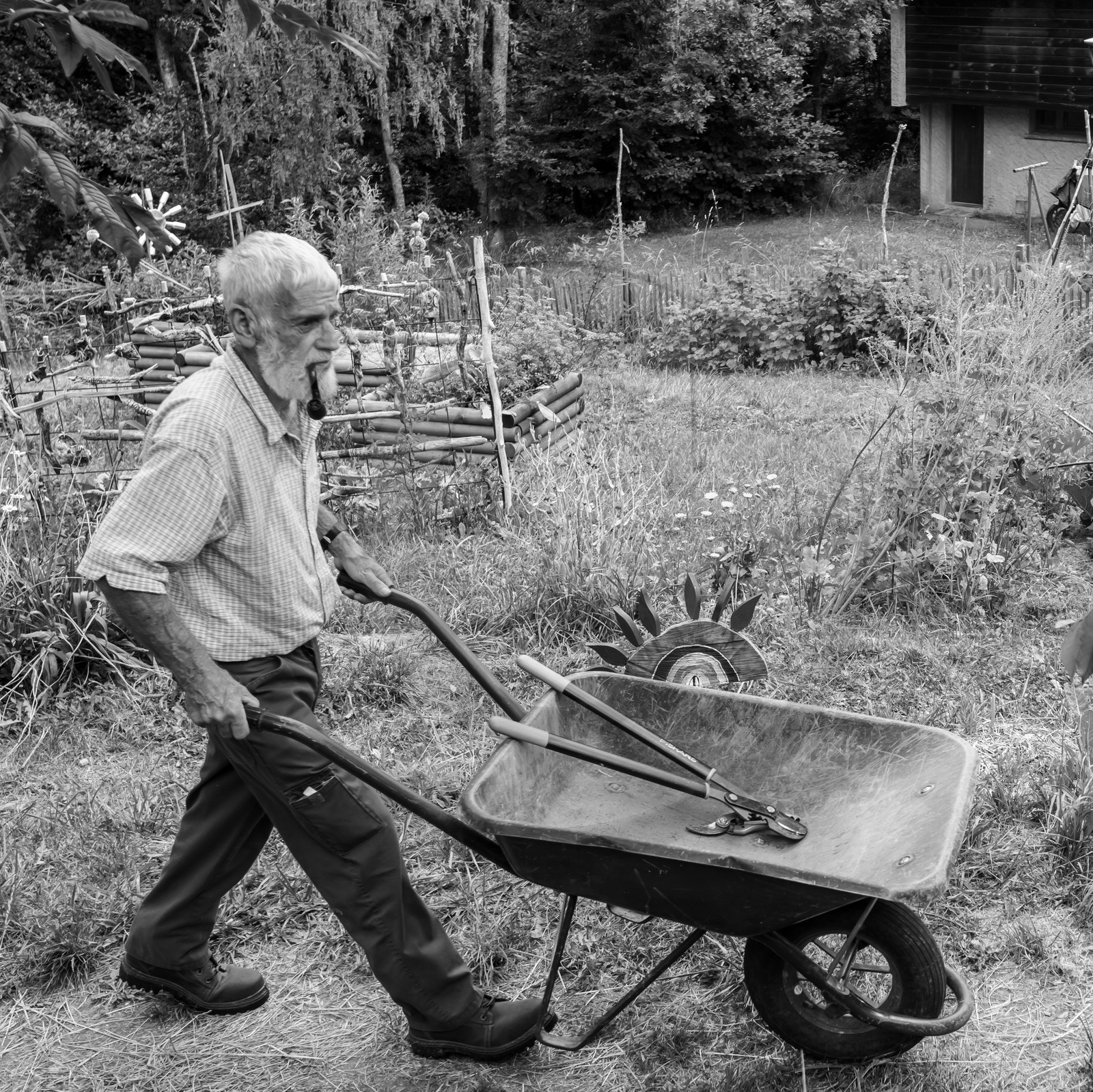 Promenades au jardin