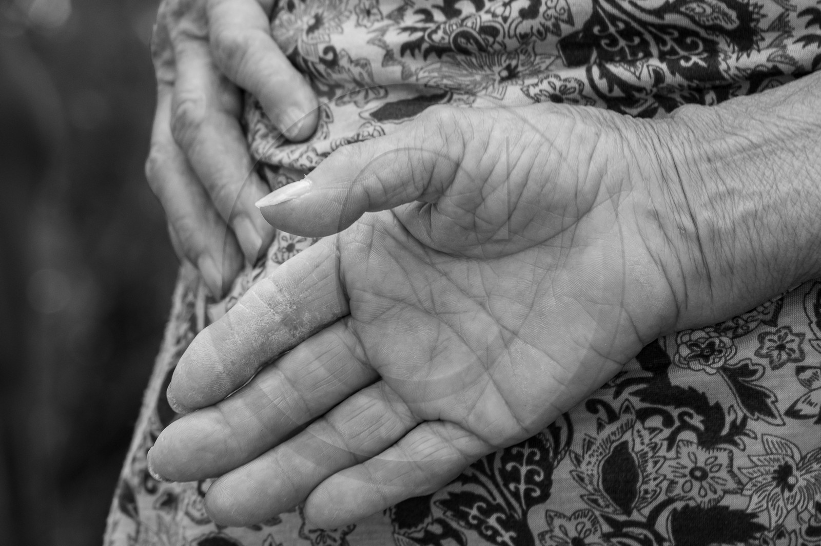 12 septembre 2023 : L'UCC à l'Ouort 12 septembre 2023 : L'UCC à l'Ouort