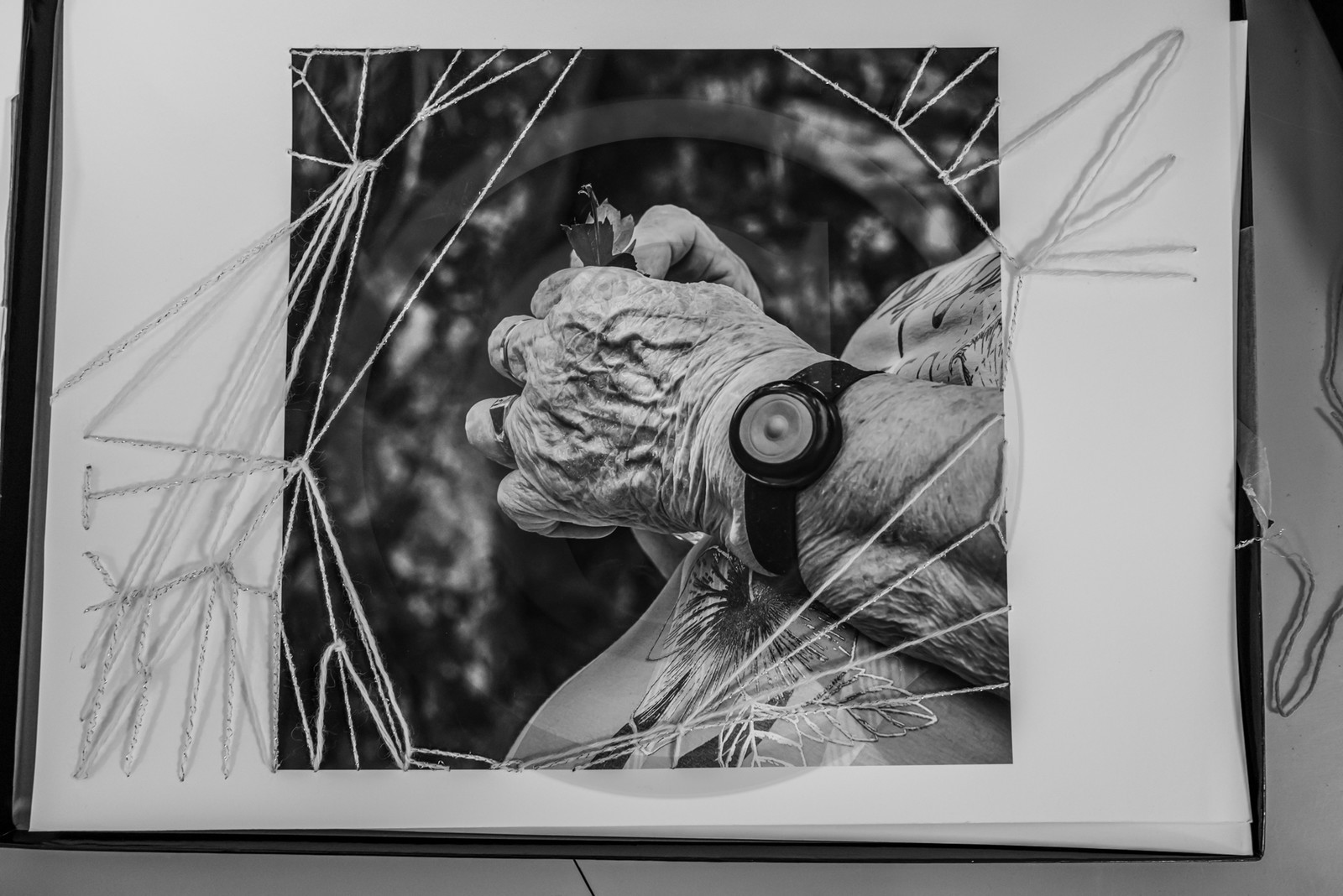 Broderies sur les photographies de Denis Lebioda, jeux, panneaux mon livre préféré, voyage en amérique latine de Claudine et Denis Meyer Broderies sur les photographies de Denis Lebioda, jeux, panneaux mon livre préféré, voyage en amérique latine de Claudine et Denis Meyer