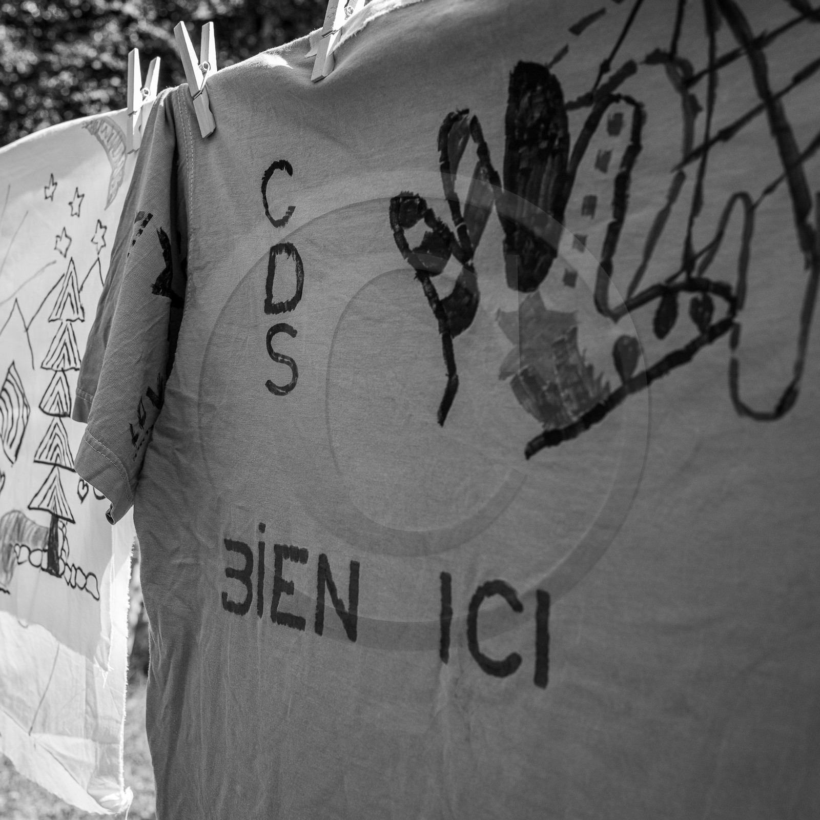 06 septembre 2023 : laine, couture et semis