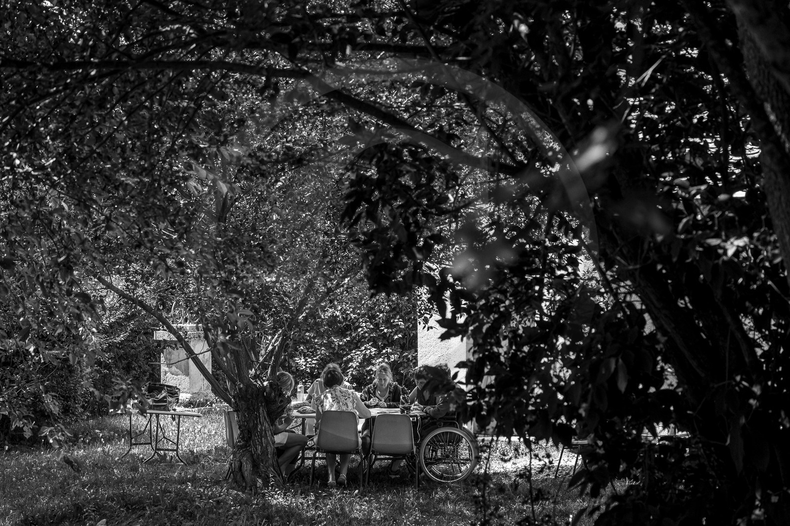 26 juin 2023 : journée des aidants et des aidés 26 juin 2023 : journée des aidants et des aidés