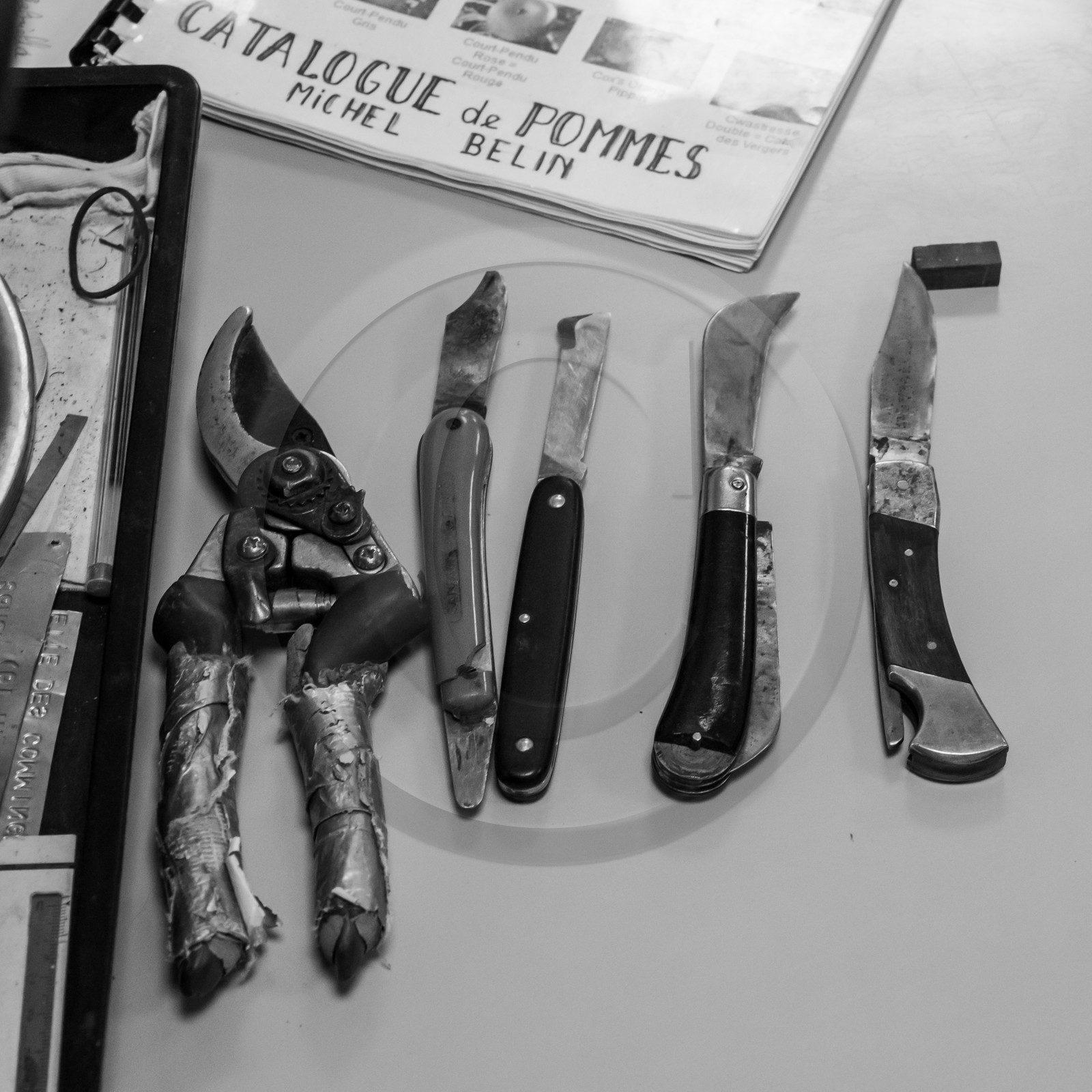 03 avril 2019 : Initiation à la greffe d'arbres fruitiers