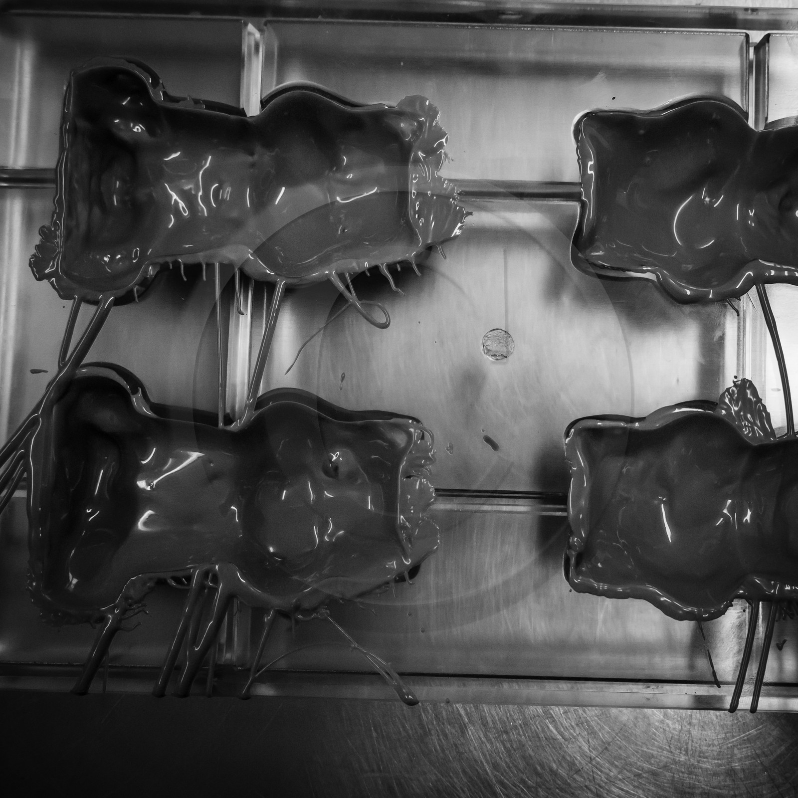 Thierry SIAT, Compagnon Chocolatier