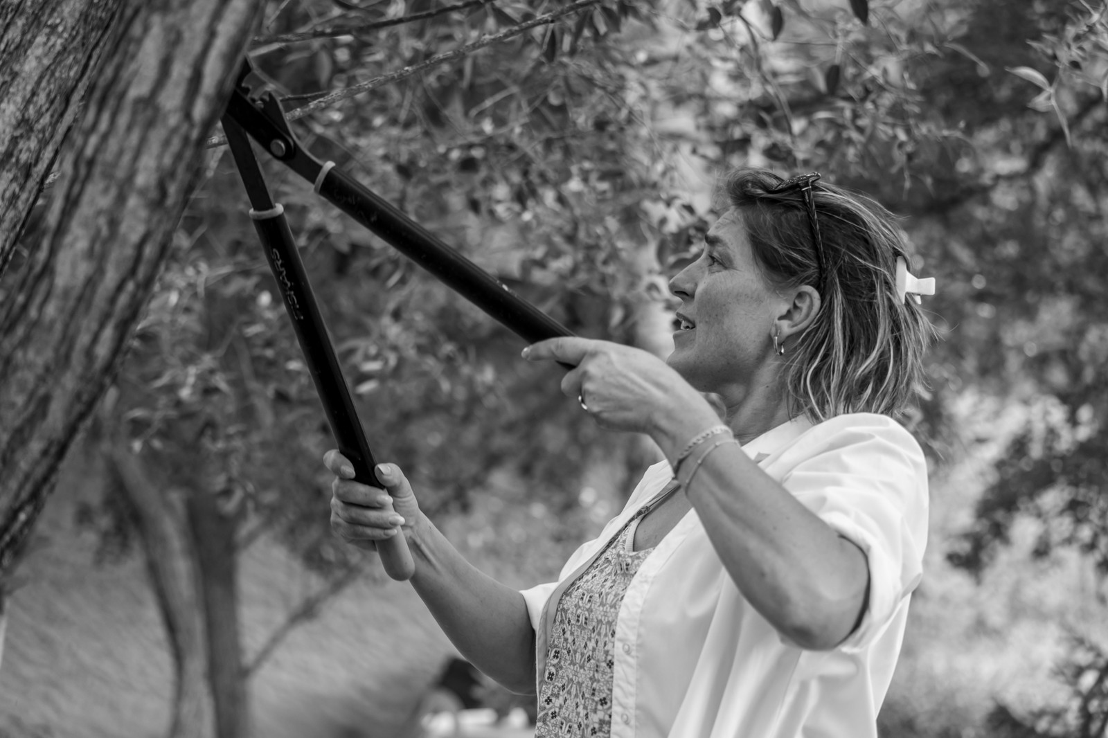 Le Noyer, village champsaurin