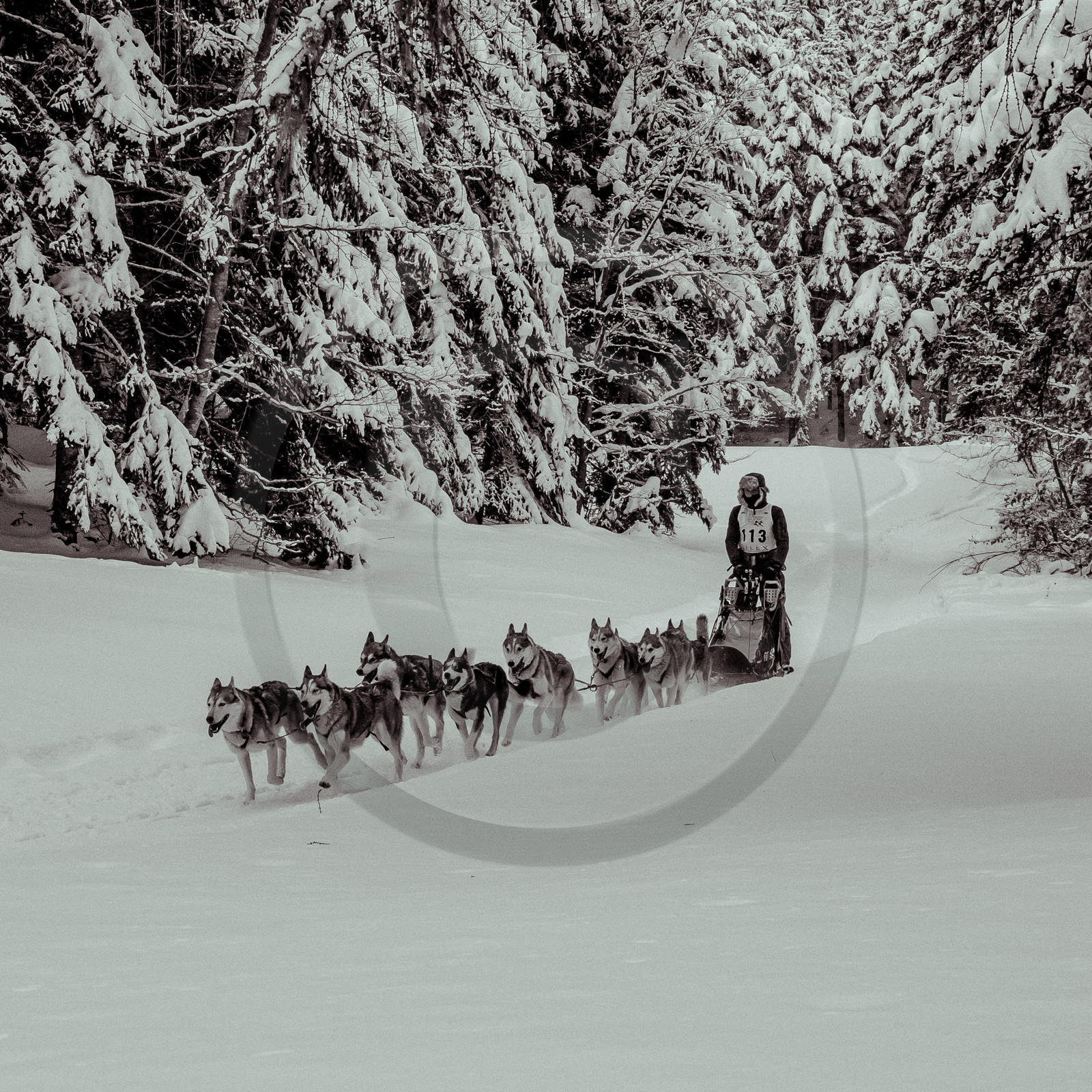La Valgaude Traineau 2015