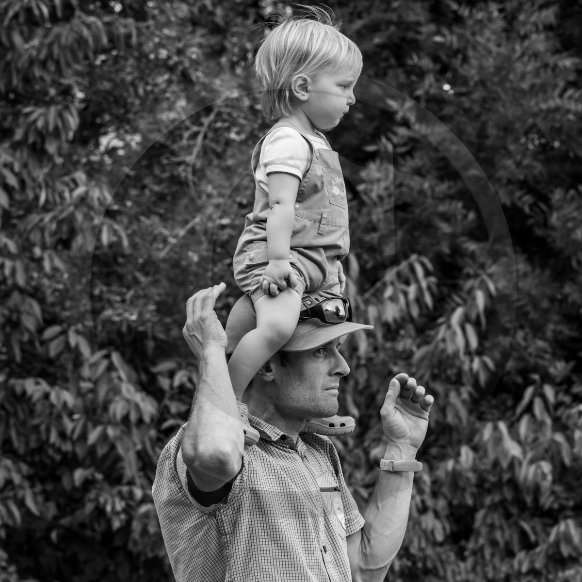 Jeanne Bleuse - Festival de Chaillol