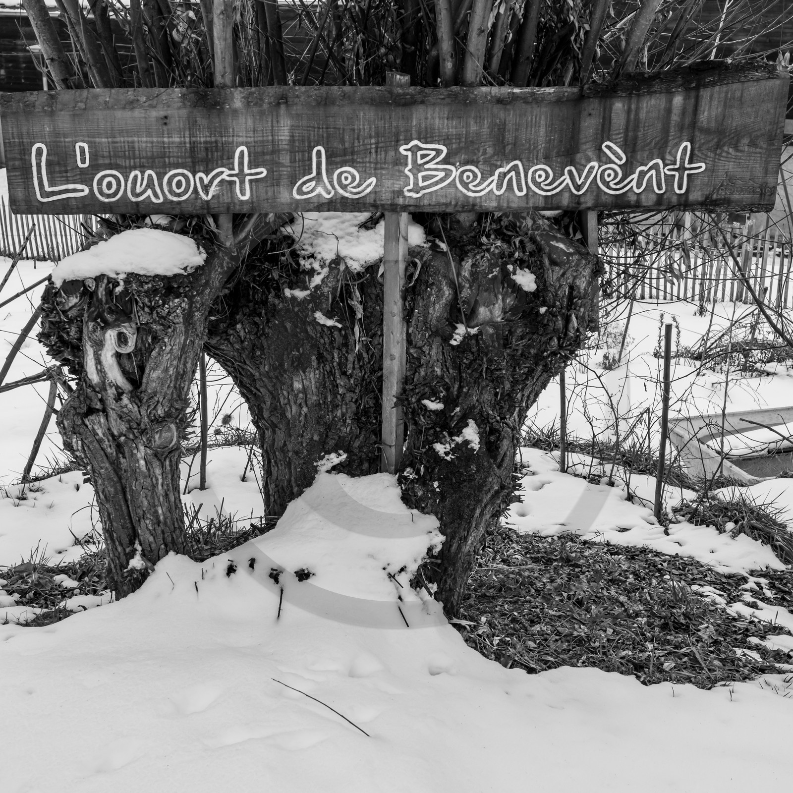 21 janvier 2021 : l'Ouort sous la neige
