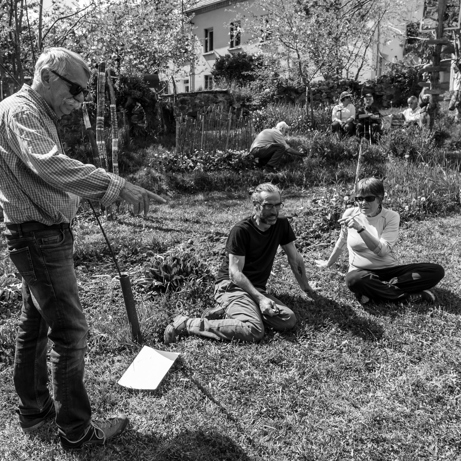 30 avril 2025 : Un oiseau en osier