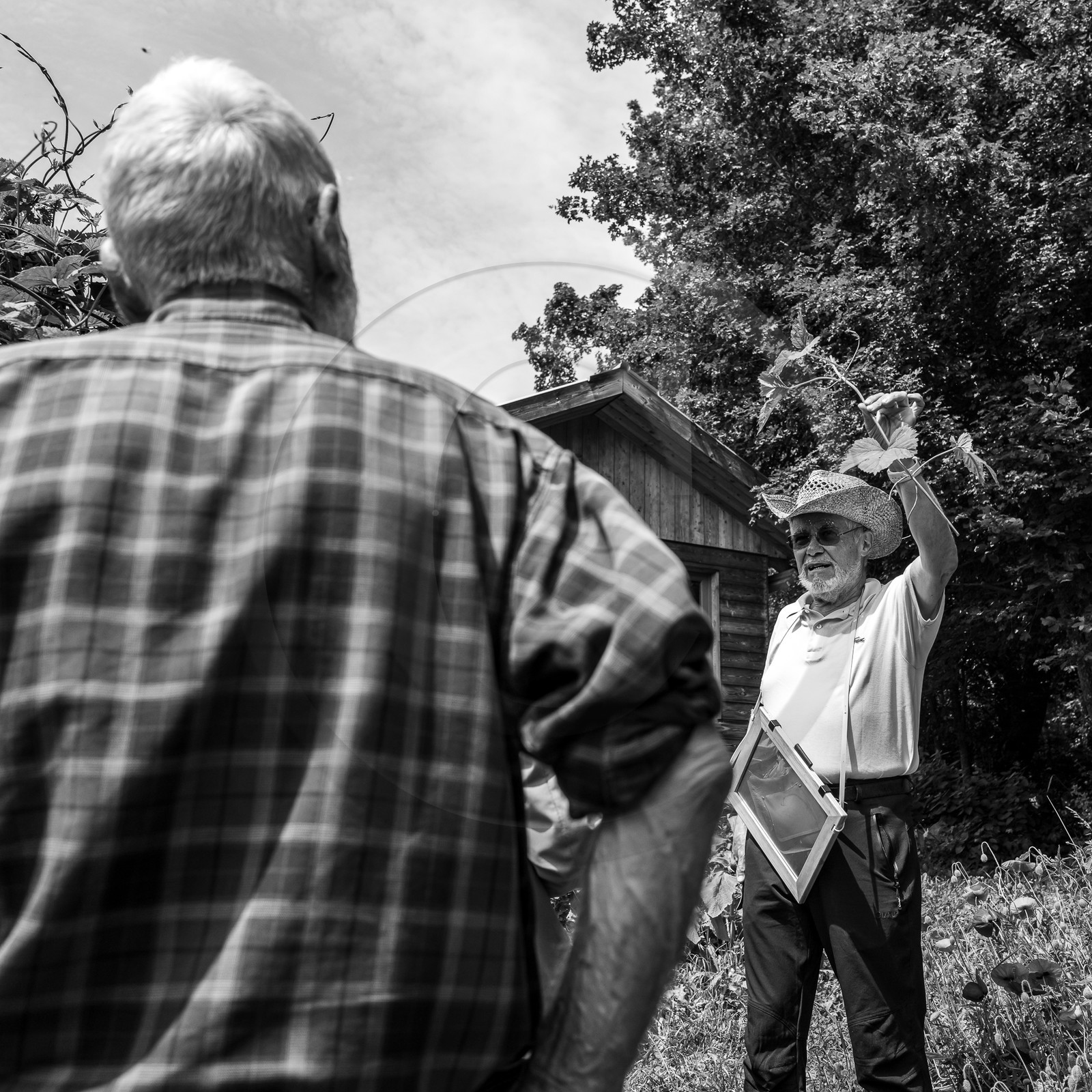 21 juin 2023 : Découverte botanique