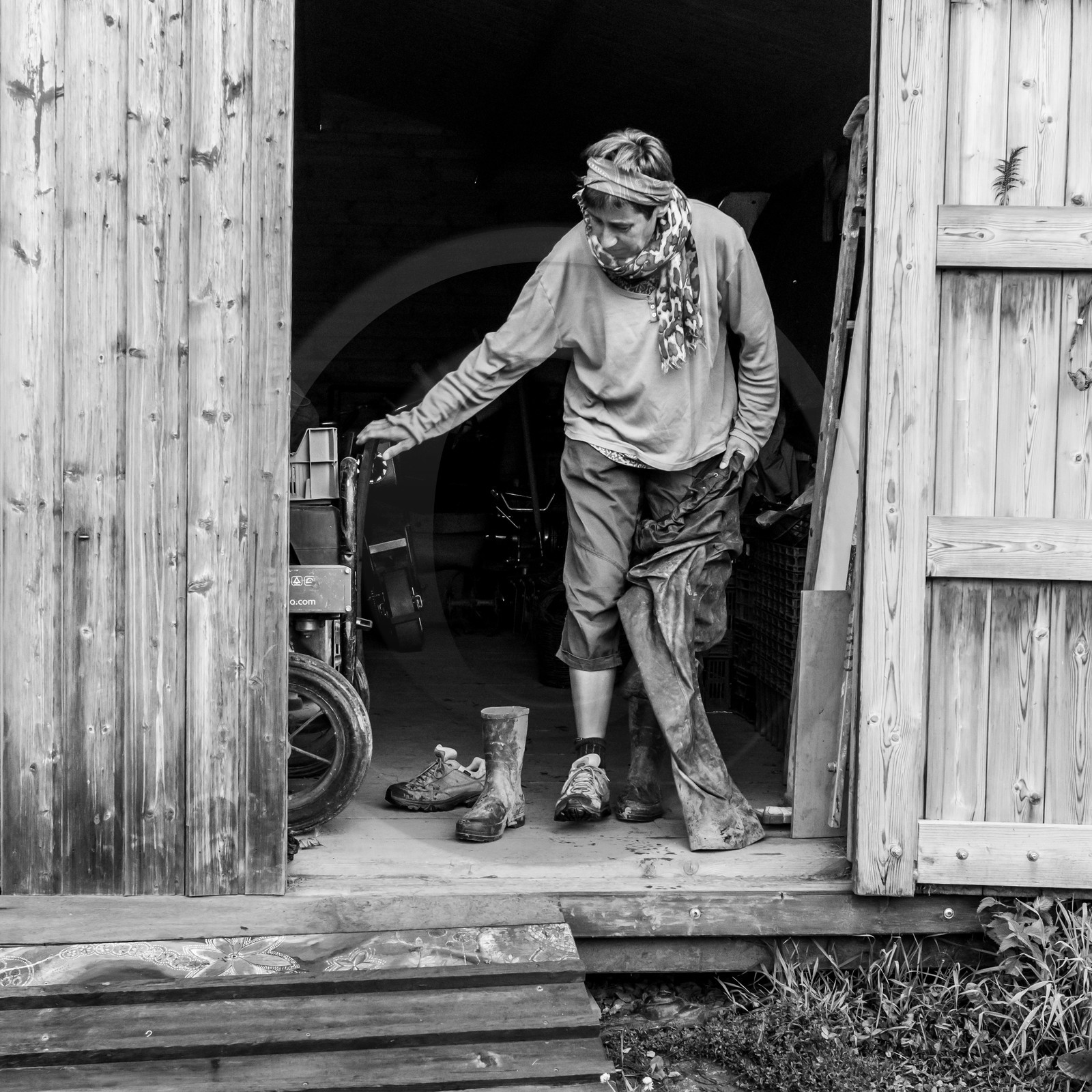Maraichage biologique dans le Champsaur Maraichage biologique dans le Champsaur