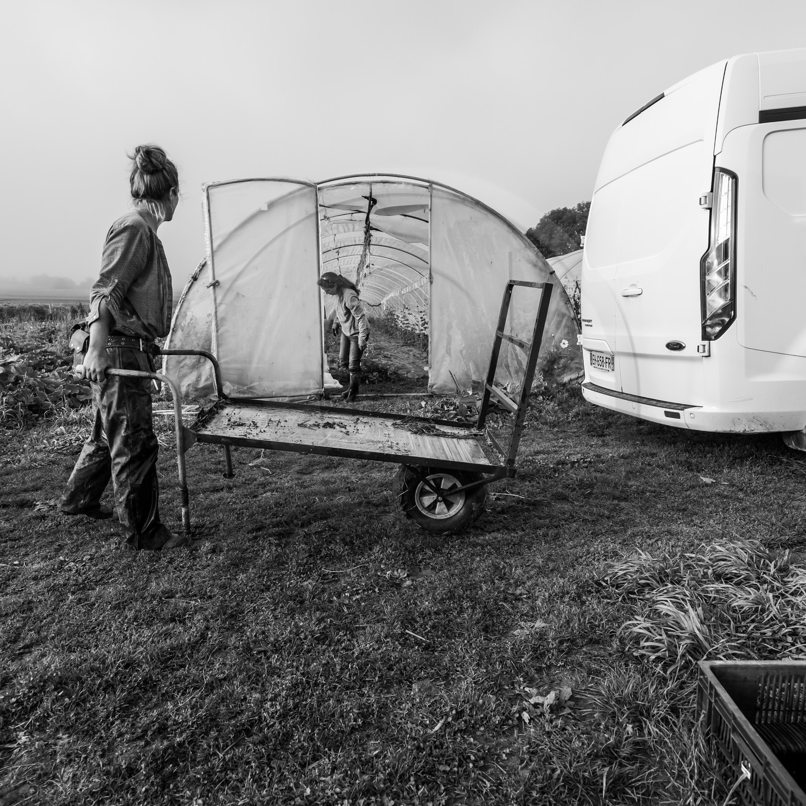 Maraichage biologique dans le Champsaur