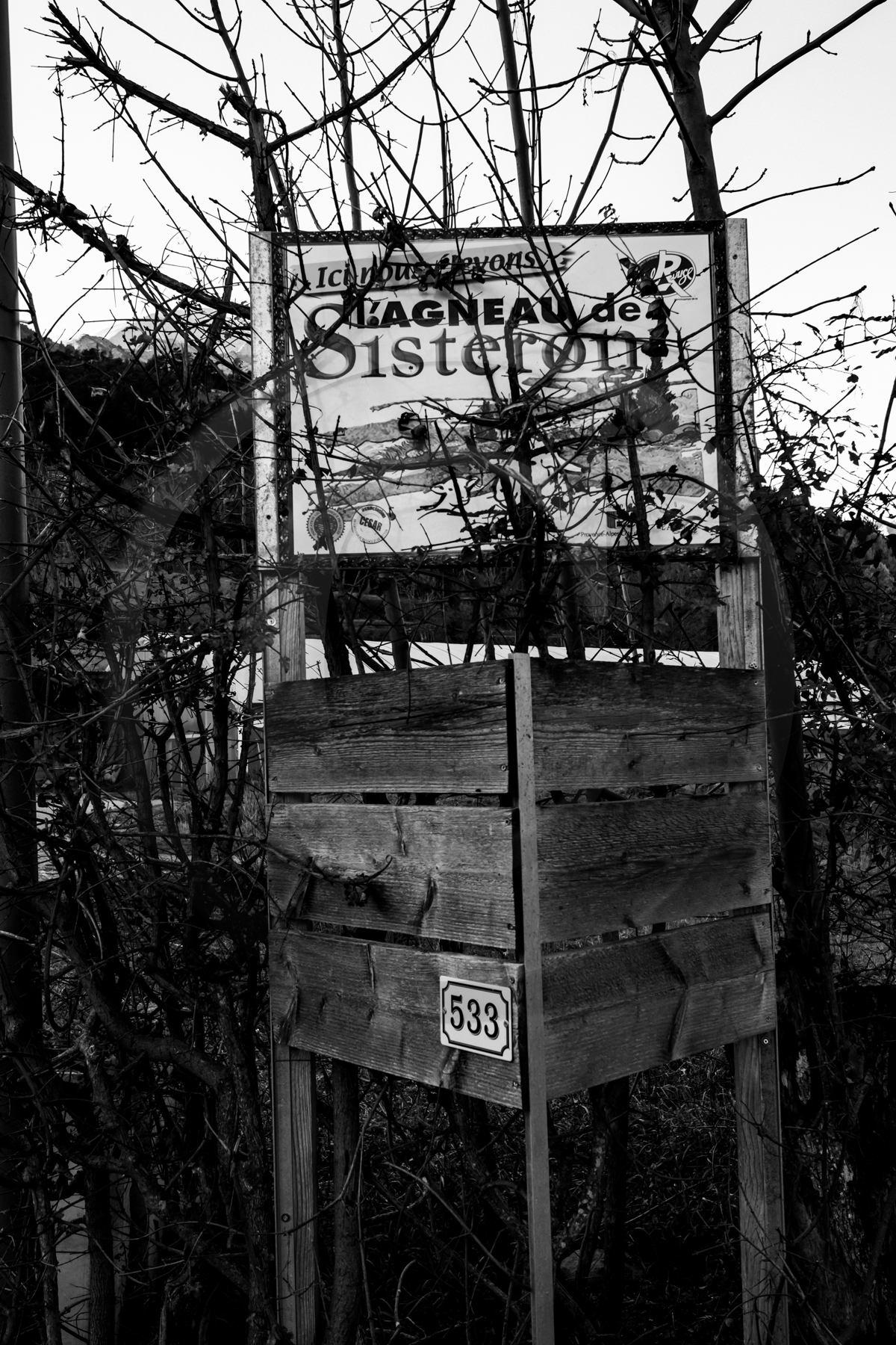 Des chiffres et des lettres