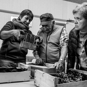 Atelier repiquage et semis - 26 04 2017